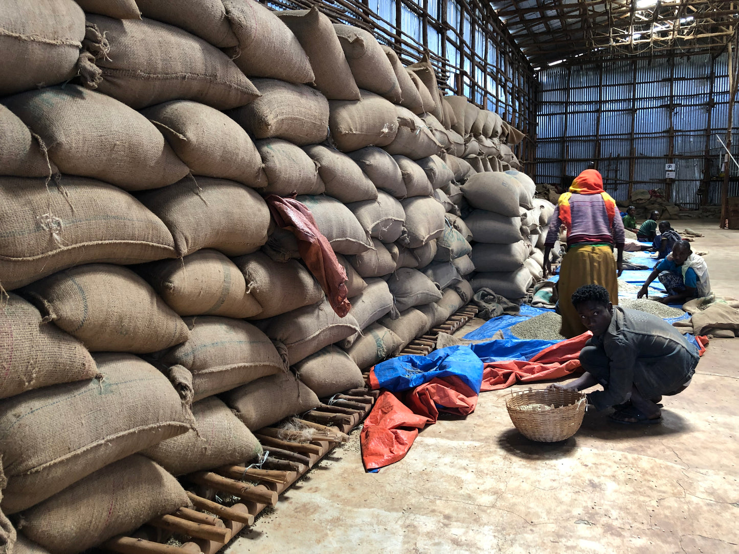 Alpha Phi Alpha, LC-NPHC African Diaspora Holiday 3-pack Coffee Bundle (Save 7.5%)