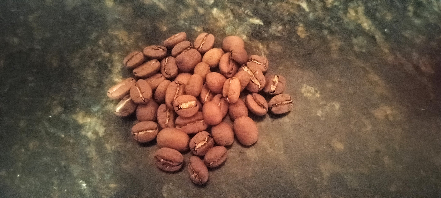 Nicaraguan Medium Roast Bird Friendly Organic Coffee