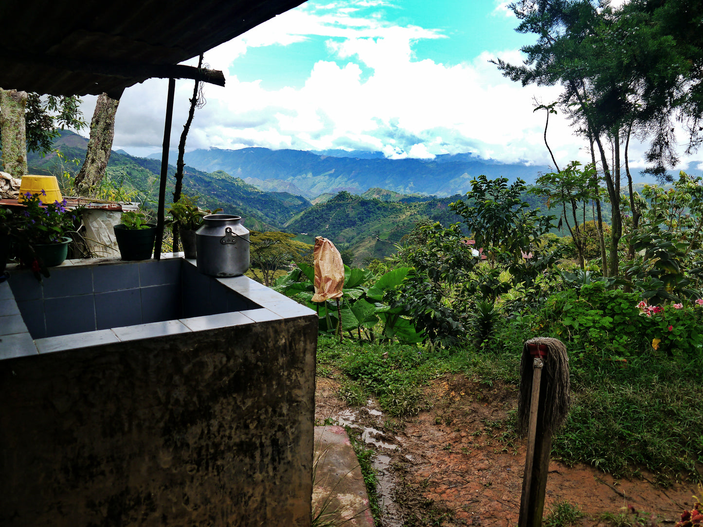 Grow To Market 12oz Organic Colombian Coffee