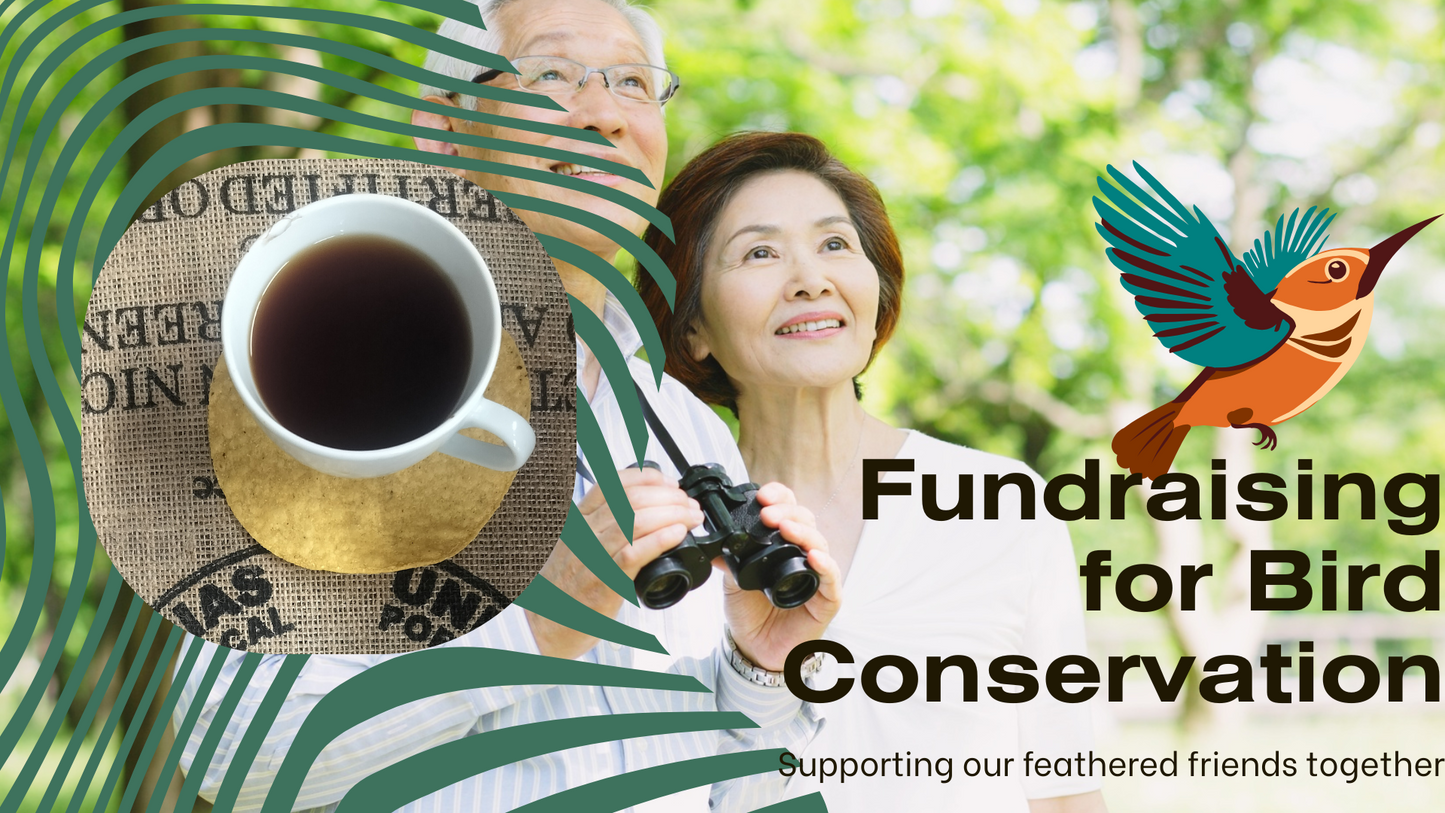 Nicaraguan Medium Roast Bird Friendly Organic Coffee